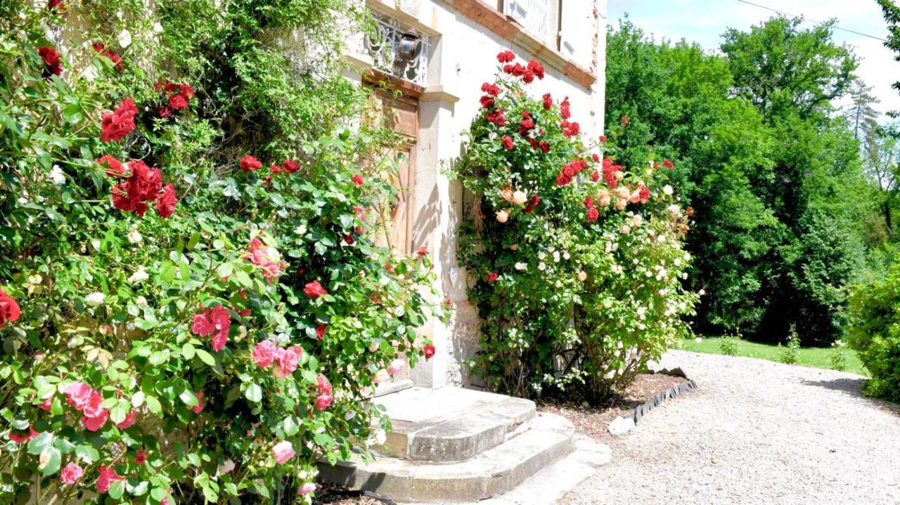 Chateau De Belespy La Bastide-de-Besplas Exteriér fotografie